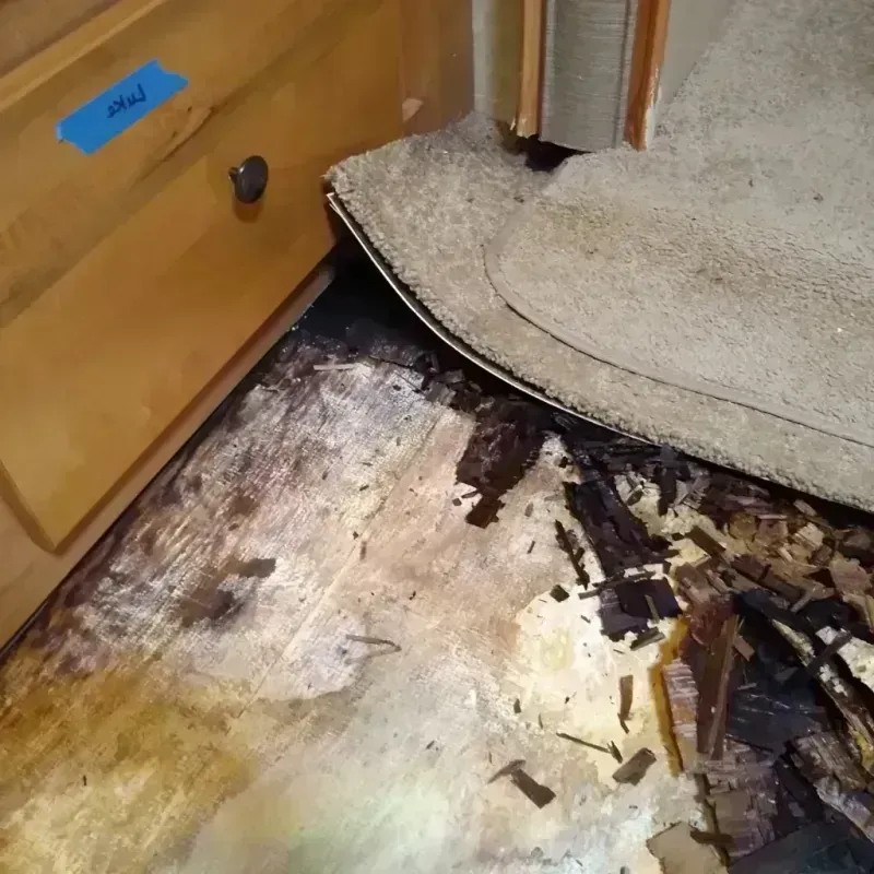 Wood Floor Water Damage in Rochelle Park, NJ